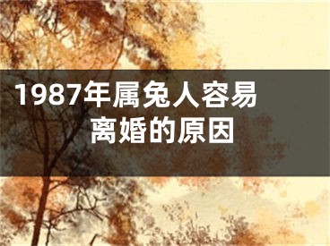 1987年属兔人容易离婚的原因