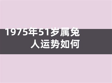 1975年51岁属兔人运势如何