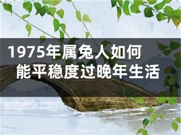 1975年属兔人如何能平稳度过晚年生活