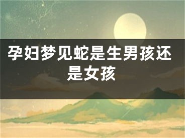 孕妇梦见蛇是生男孩还是女孩