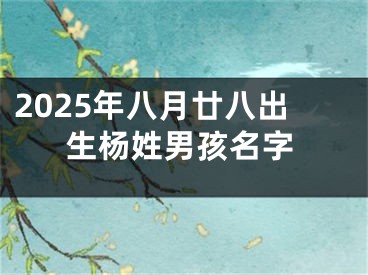 2025年八月廿八出生杨姓男孩名字