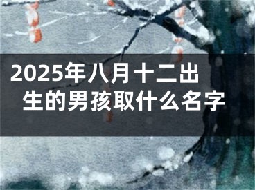2025年八月十二出生的男孩取什么名字
