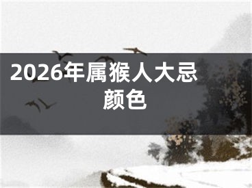 2026年属猴人大忌颜色