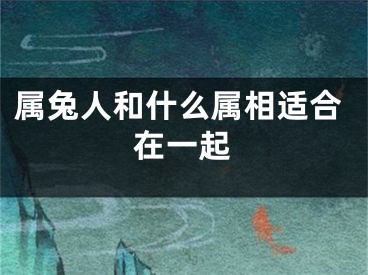 属兔人和什么属相适合在一起