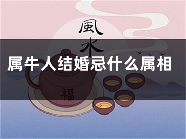 属牛人结婚忌什么属相