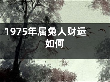 1975年属兔人财运如何