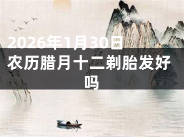 2026年1月30日农历腊月十二剃胎发好吗