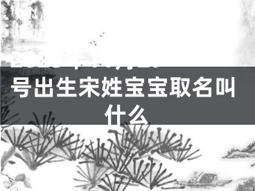 2025年11月29号出生宋姓宝宝取名叫什么
