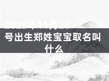 2025年11月26号出生郑姓宝宝取名叫什么