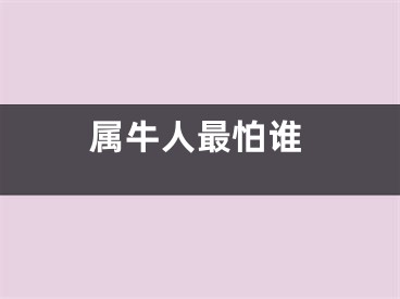 属牛人最怕谁