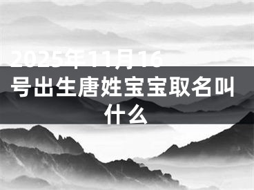 2025年11月16号出生唐姓宝宝取名叫什么