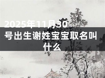 2025年11月30号出生谢姓宝宝取名叫什么
