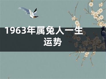 1963年属兔人一生运势