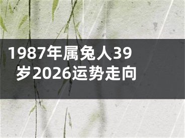 1987年属兔人39岁2026运势走向