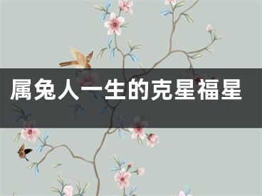 属兔人一生的克星福星