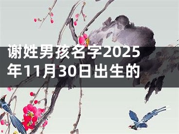 谢姓男孩名字2025年11月30日出生的