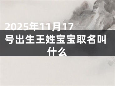2025年11月17号出生王姓宝宝取名叫什么