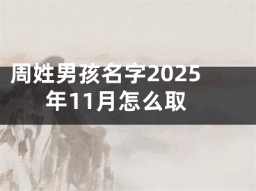 周姓男孩名字2025年11月怎么取