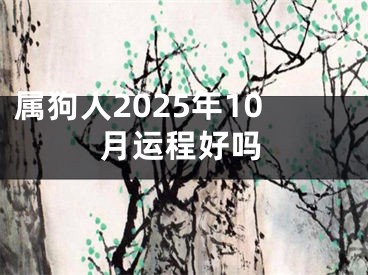 属狗人2025年10月运程好吗