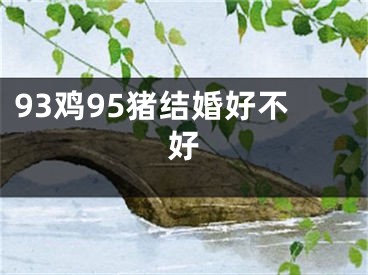 93鸡95猪结婚好不好