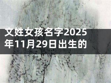 文姓女孩名字2025年11月29日出生的