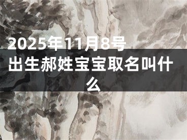 2025年11月8号出生郝姓宝宝取名叫什么