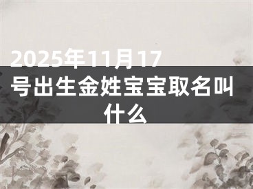 2025年11月17号出生金姓宝宝取名叫什么