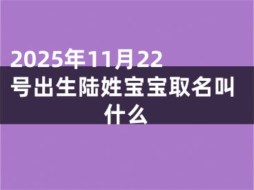 2025年11月22号出生陆姓宝宝取名叫什么