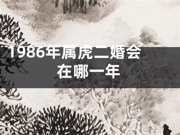 1986年属虎二婚会在哪一年