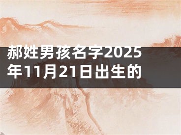 郝姓男孩名字2025年11月21日出生的