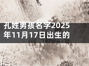 孔姓男孩名字2025年11月17日出生的