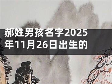 郝姓男孩名字2025年11月26日出生的