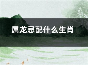 属龙忌配什么生肖