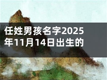 任姓男孩名字2025年11月14日出生的