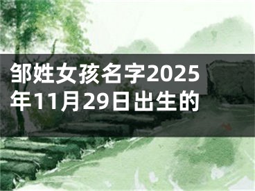 邹姓女孩名字2025年11月29日出生的