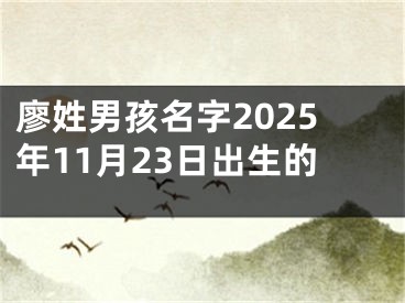 廖姓男孩名字2025年11月23日出生的