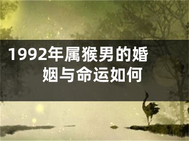 1992年属猴男的婚姻与命运如何