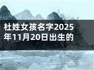 杜姓女孩名字2025年11月20日出生的