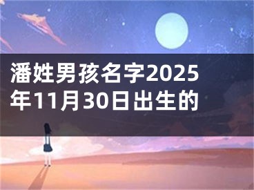 潘姓男孩名字2025年11月30日出生的