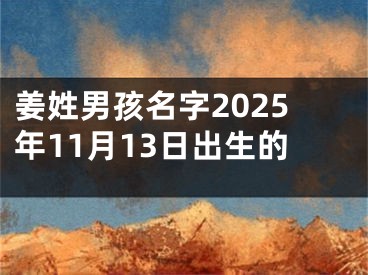 姜姓男孩名字2025年11月13日出生的