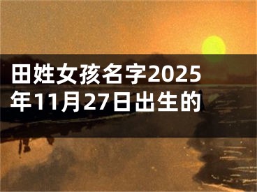 田姓女孩名字2025年11月27日出生的