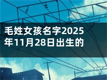 毛姓女孩名字2025年11月28日出生的