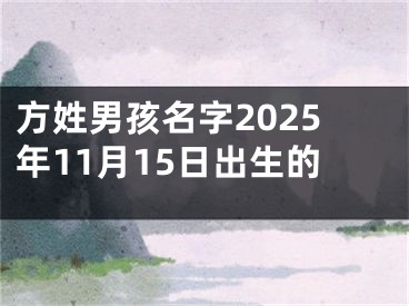 方姓男孩名字2025年11月15日出生的
