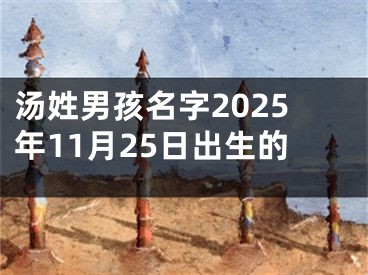汤姓男孩名字2025年11月25日出生的