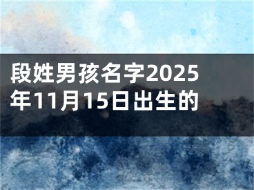 段姓男孩名字2025年11月15日出生的