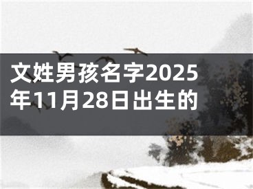 文姓男孩名字2025年11月28日出生的