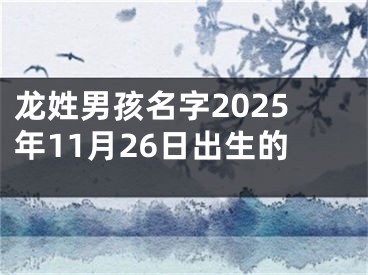 龙姓男孩名字2025年11月26日出生的