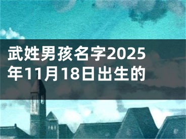 武姓男孩名字2025年11月18日出生的