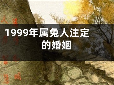 1999年属兔人注定的婚姻
