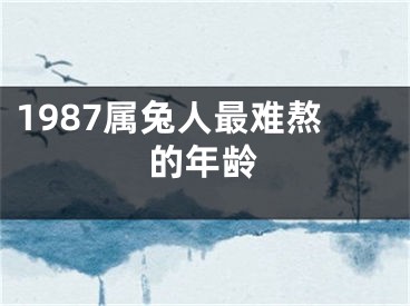 1987属兔人最难熬的年龄
